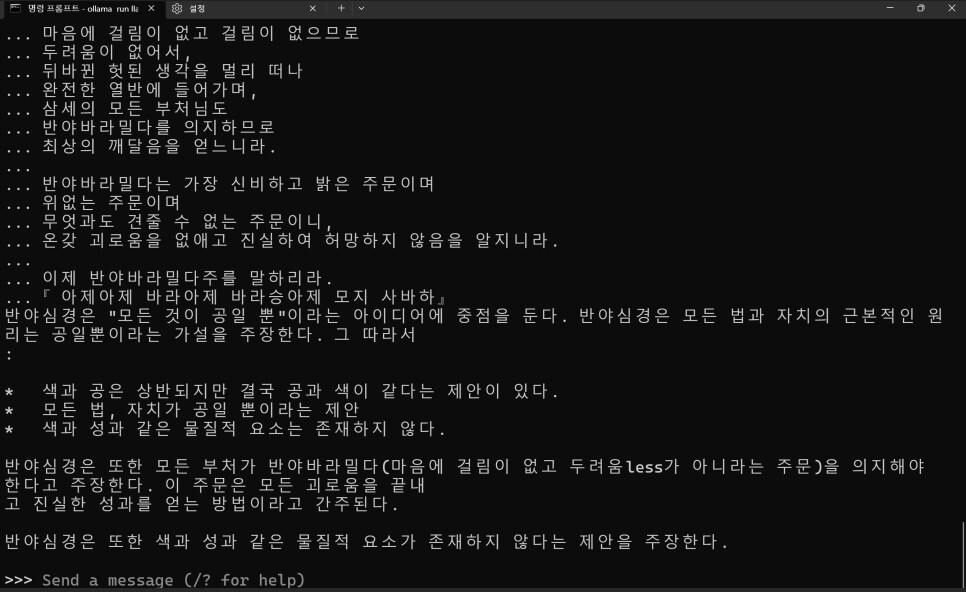 3B 모델의 ③프롬프트에 대한 답변 스크린샷
